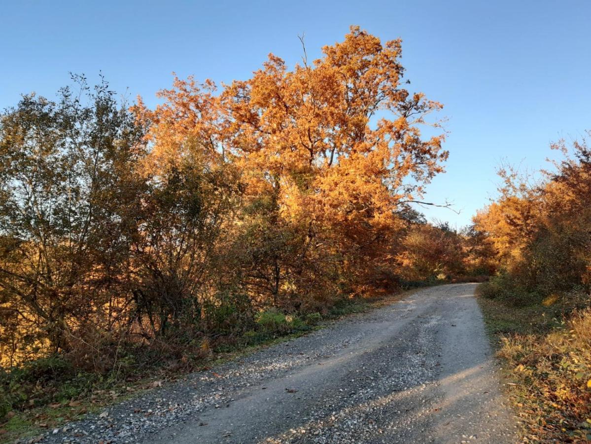 Apartamento Rural Elizondo Εξωτερικό φωτογραφία